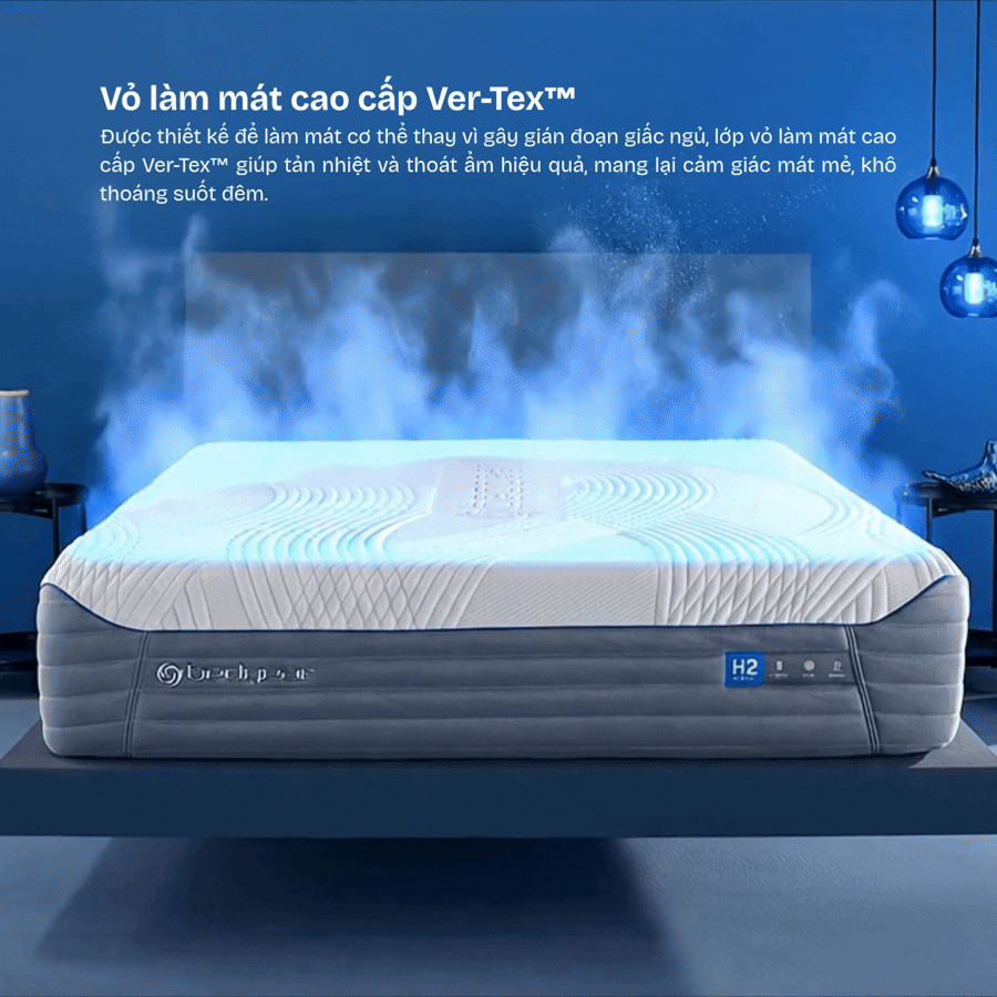 Khả năng nâng đỡ của Bedgear H2 Hybrid